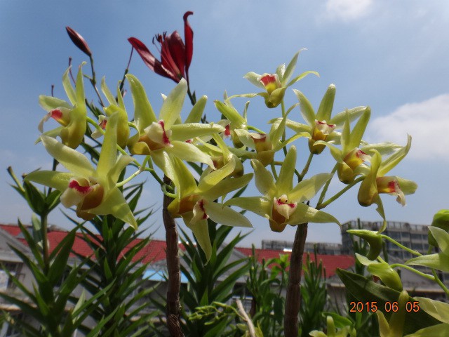 DSC07389.JPG