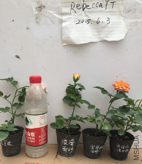 QQͼƬ20150605161224.jpg