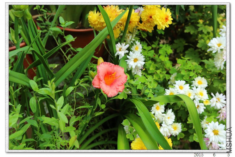 2015060506.jpg