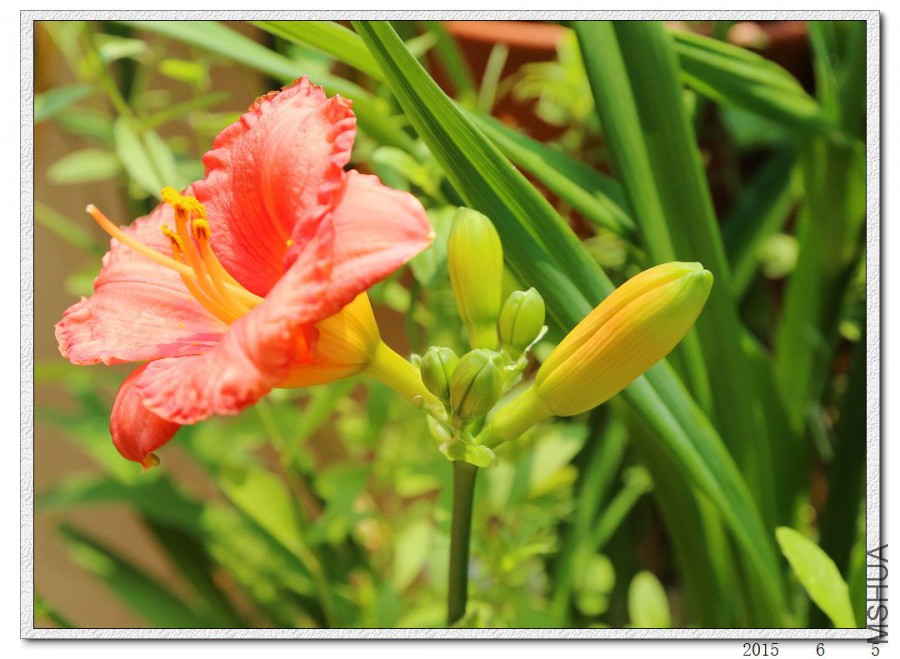 2015060505.jpg