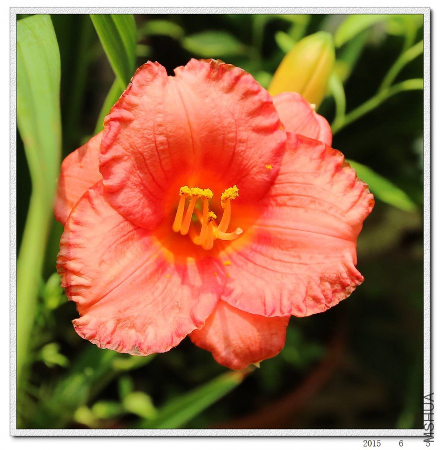 2015060504.jpg