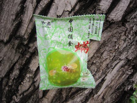 IMG_0019 - ����.JPG