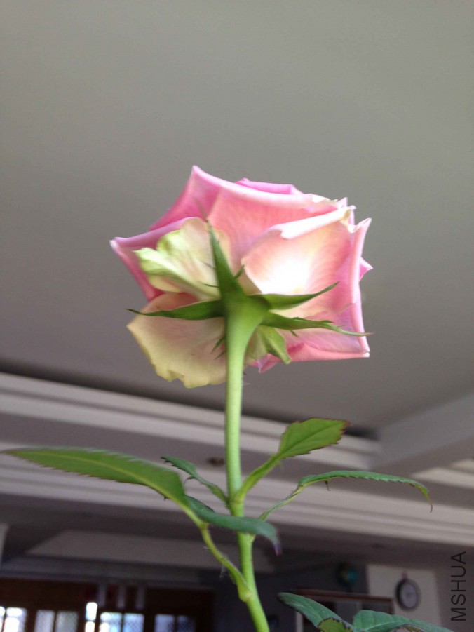 QQͼƬ20150606112916.jpg