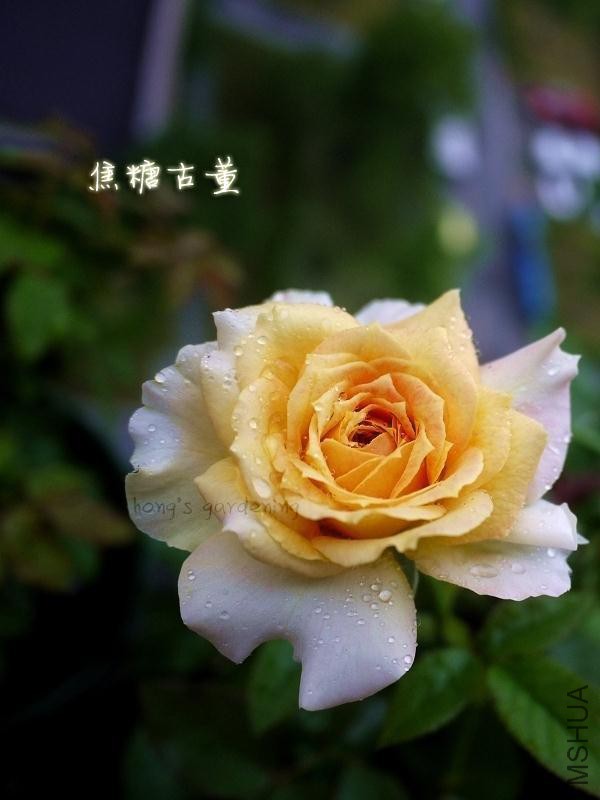 psb (14).jpg