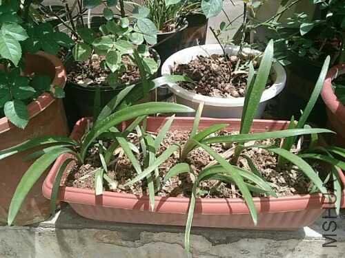 UC_Photo_006.jpg