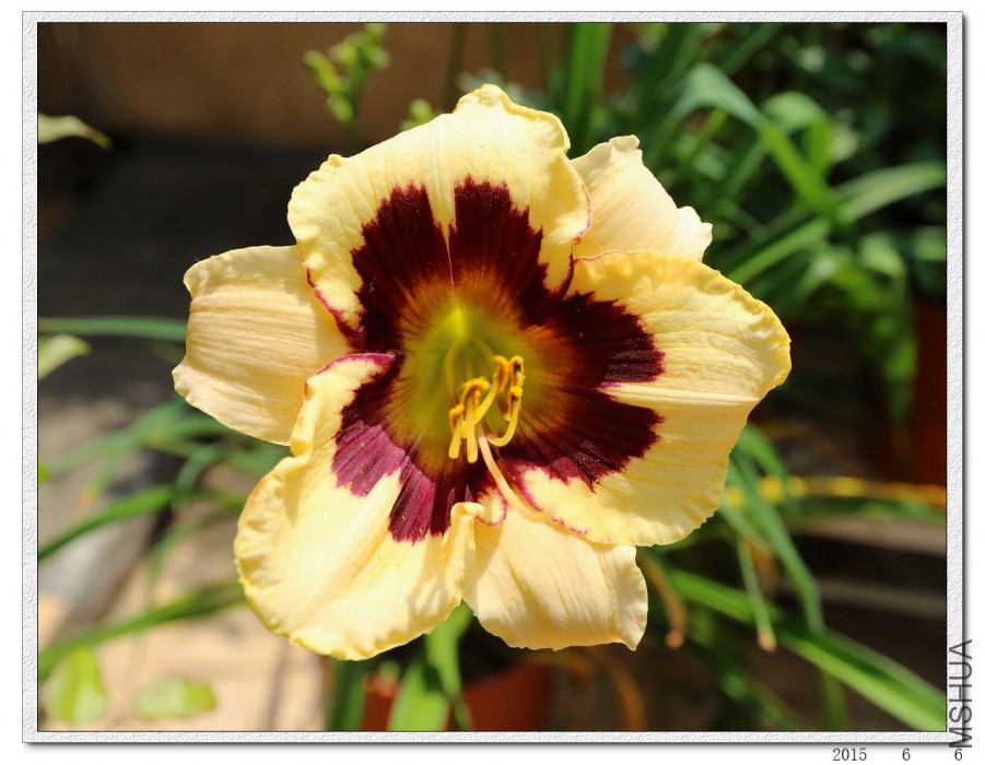 2015060607.jpg