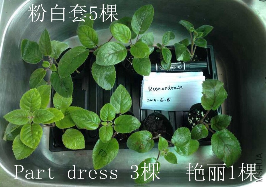 QQ��ͼ20150606144340.jpg