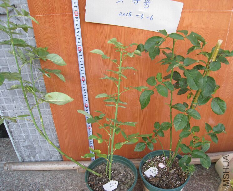QQͼƬ20150606171053.jpg