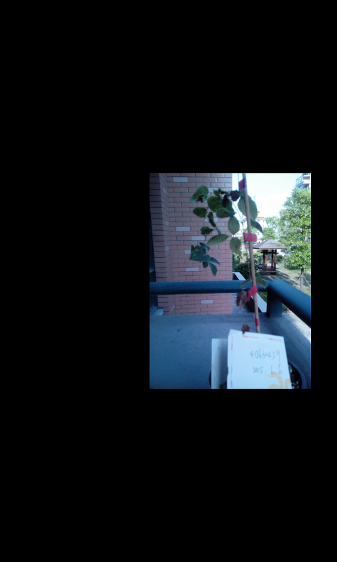 Screenshot_2015-06-06-17-35-53.png