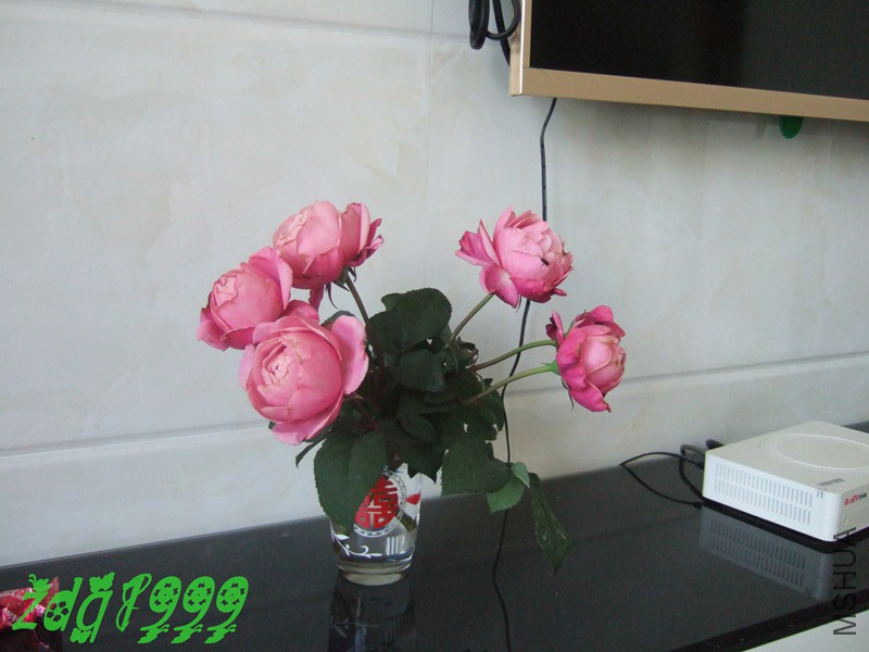 DSCF0291.jpg