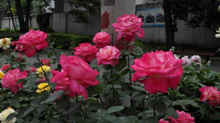 ¥�»�̳���¼�����֪����ʲô