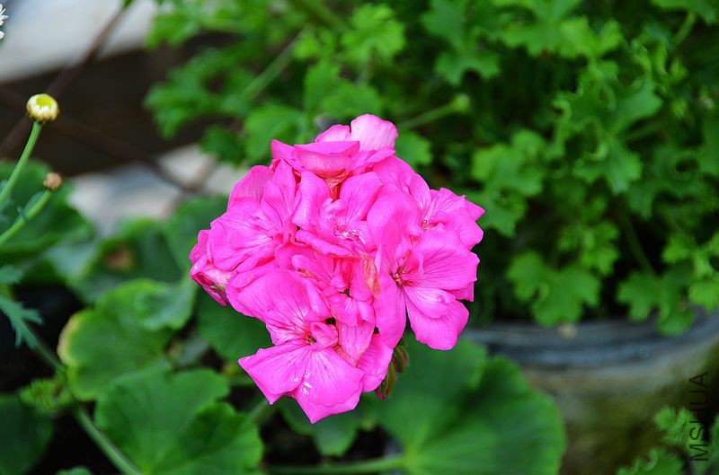 ����860 (3).jpg