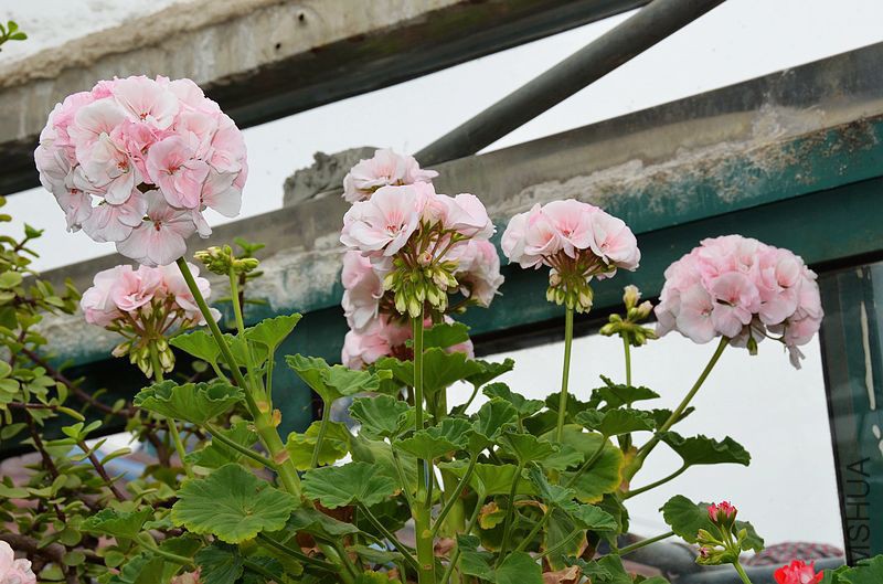 ���ӷ� (15).jpg