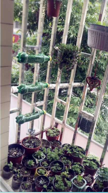 QQͼƬ20150607155631.jpg