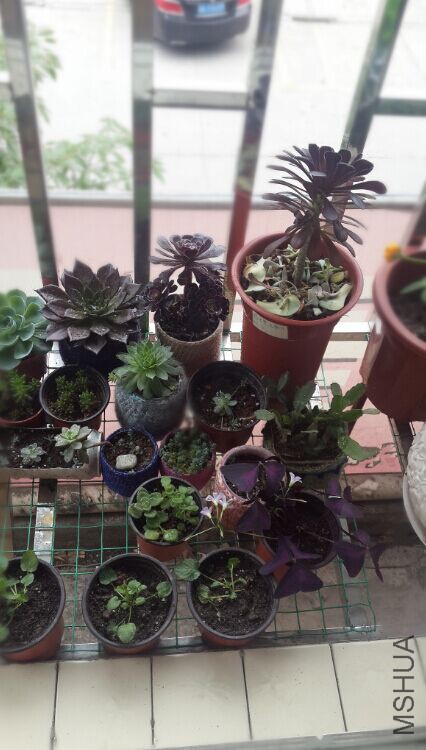 QQͼƬ20150607155755.jpg