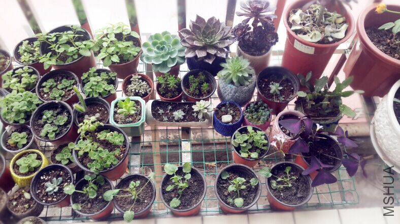 QQͼƬ20150607155715.jpg