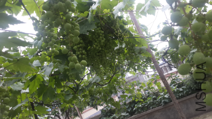 QQͼƬ20150607160640.png
