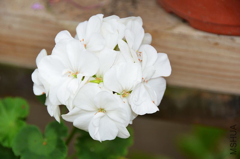 ���� (12).jpg