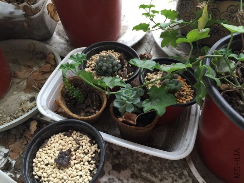 QQͼƬ20150607162332.jpg