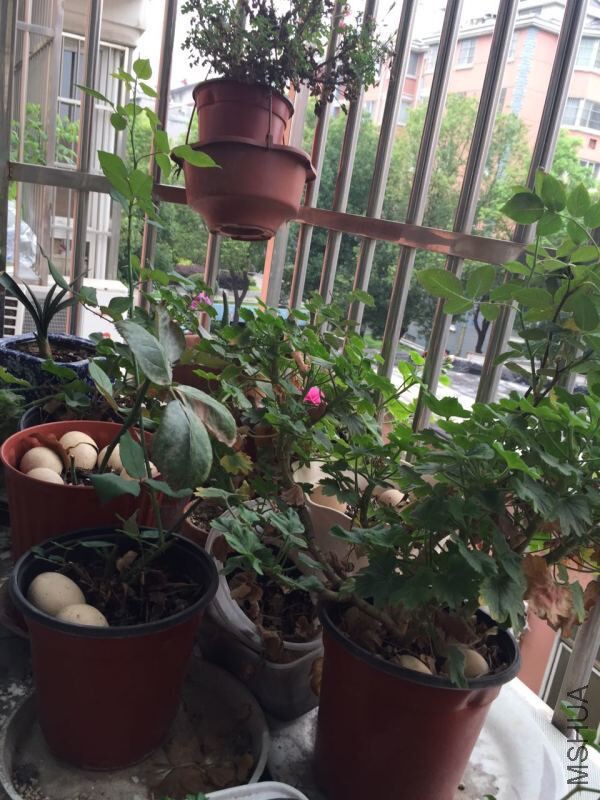 QQͼƬ20150607162342.jpg