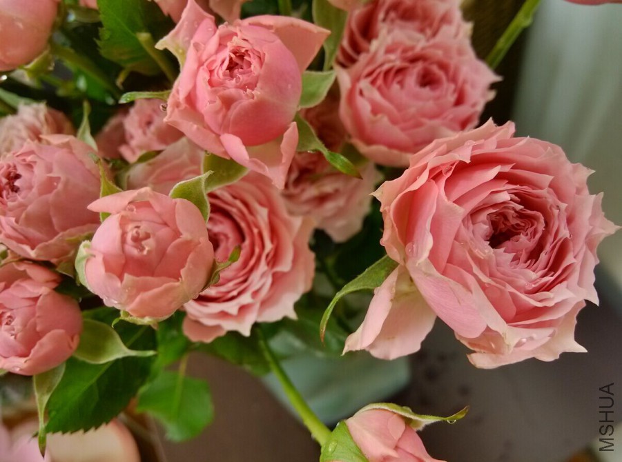 �����׿���1.jpg