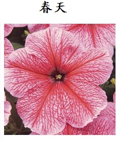 ����5.PNG