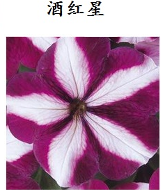 ����9.PNG