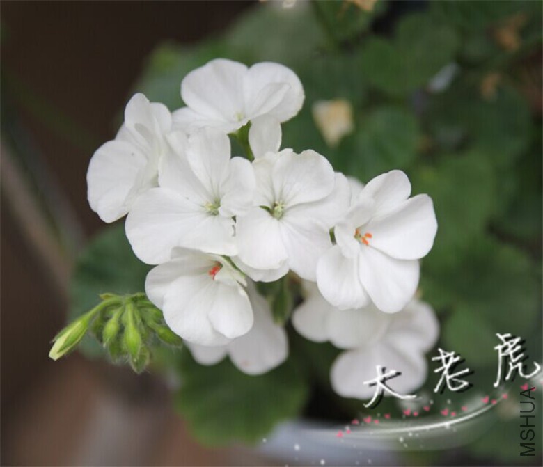 �½��ļ��� (4)-56bbc86b49675c8b.jpg