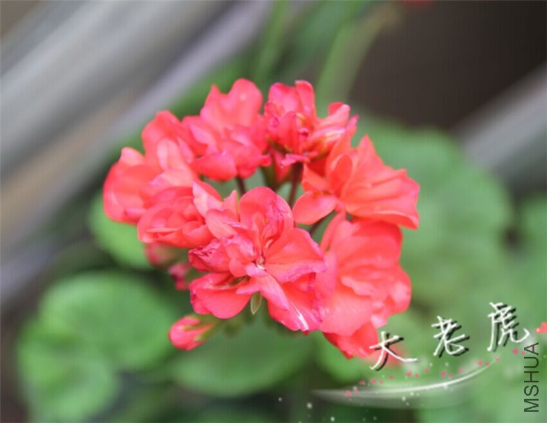 �½��ļ��� (4)-557f3457e1bc2d88.jpg