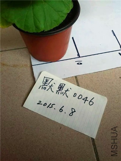 5656.jpg