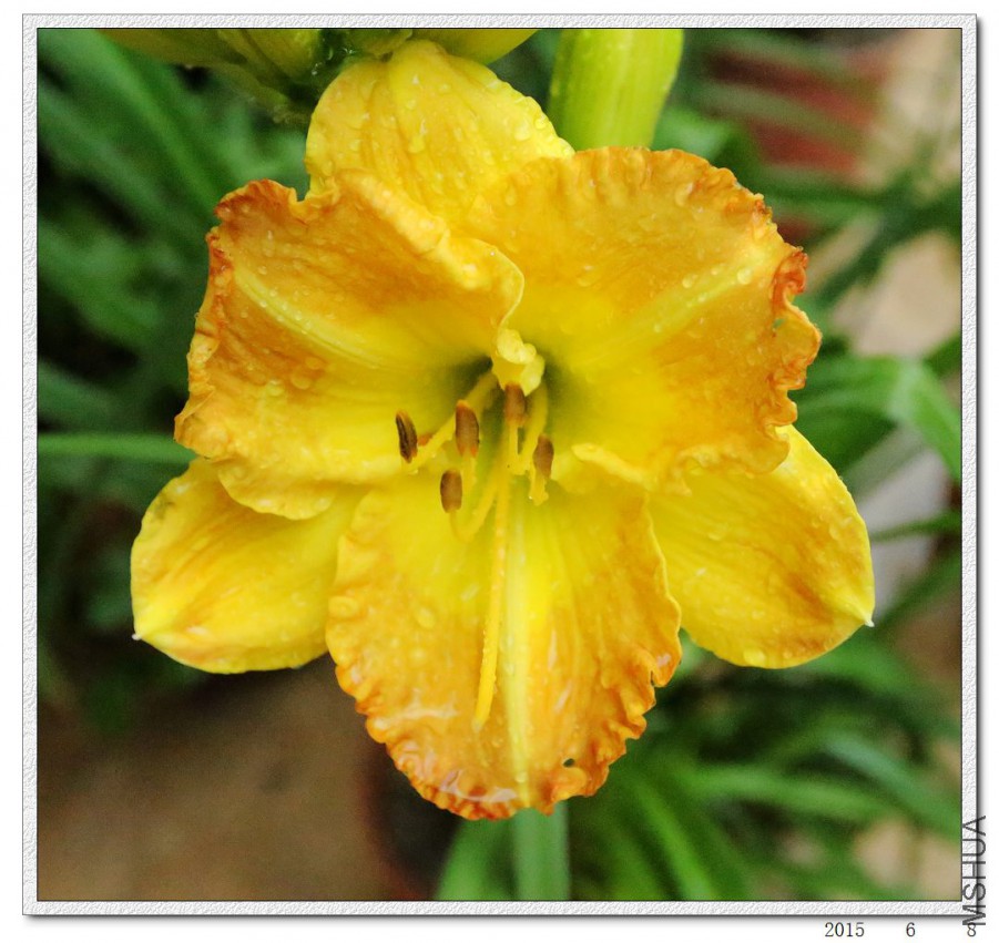 2015060801.jpg