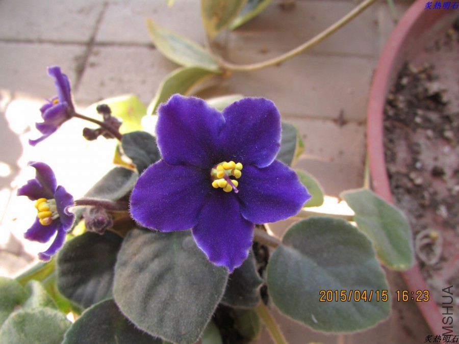 IMG_3606_nEO_IMG.jpg