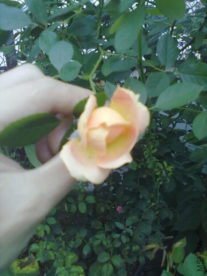 20140427100.jpg