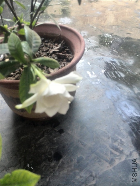 IMG_20150608_181525.jpg