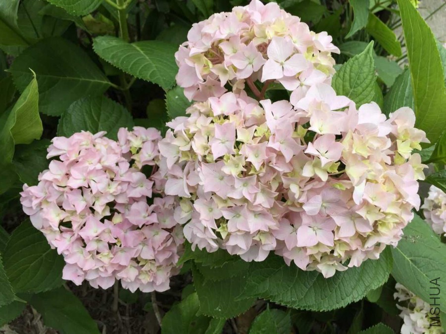 QQͼƬ20150608204133.jpg