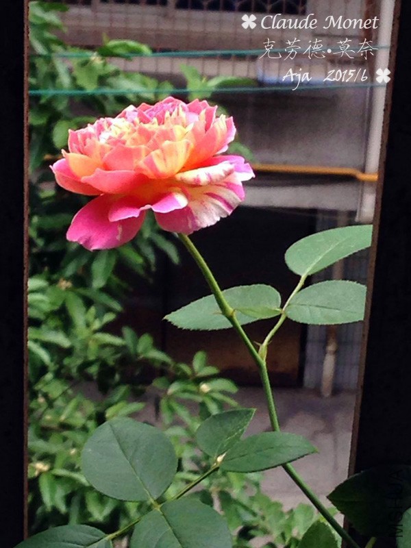 Ī��156-1.jpg