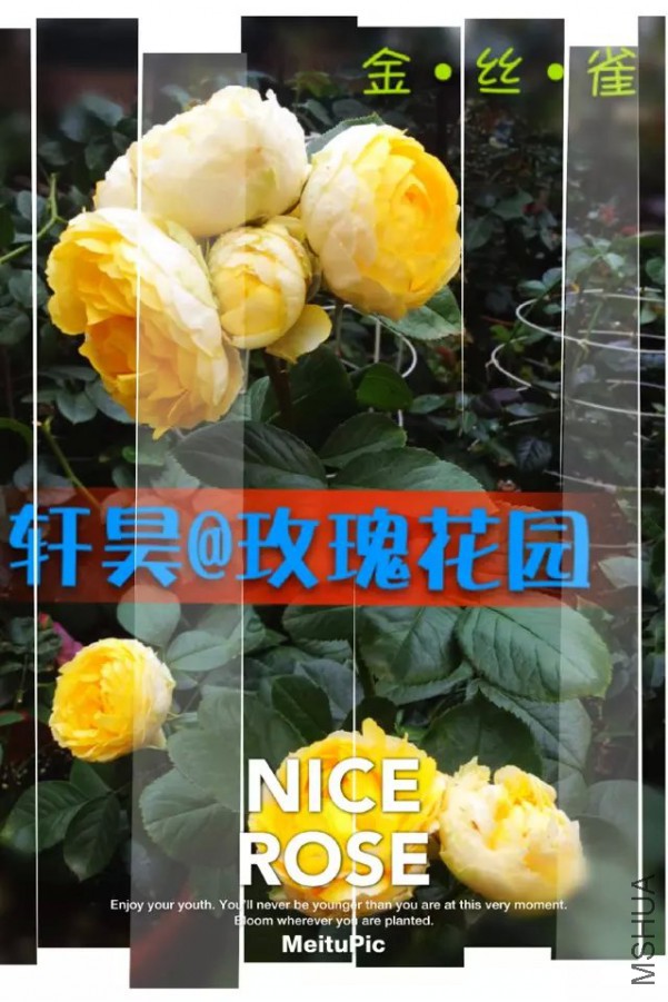 psbZV33ZA9V.jpg