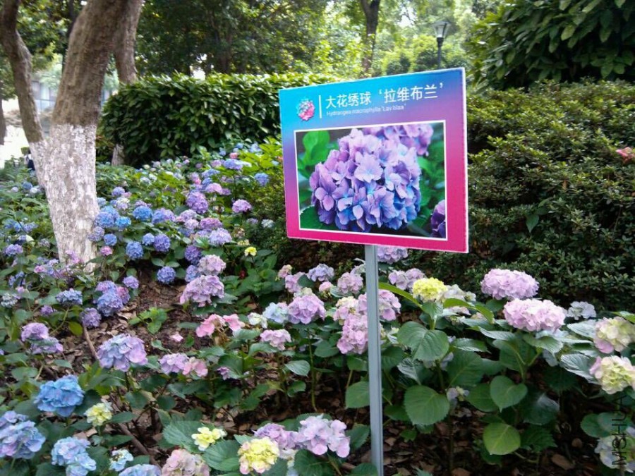 QQͼƬ20150609153317.jpg