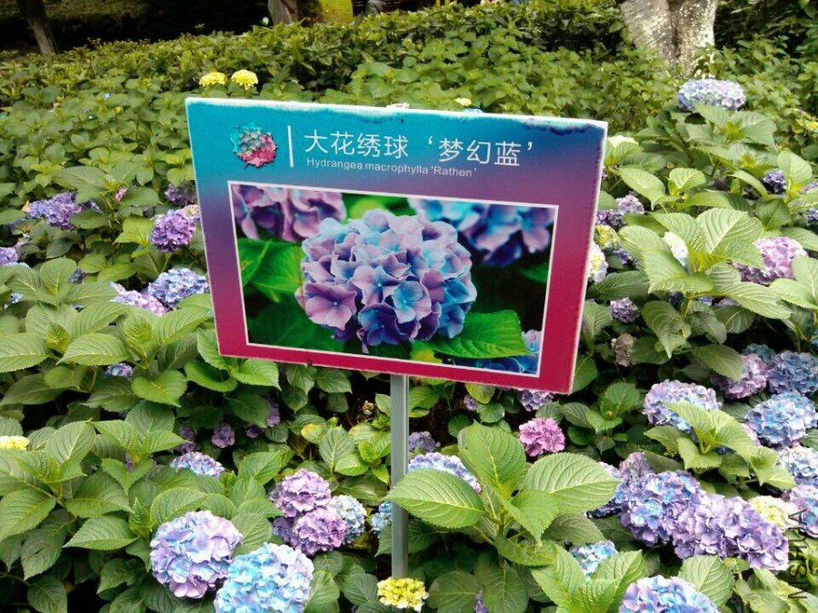 QQͼƬ20150609153327.jpg