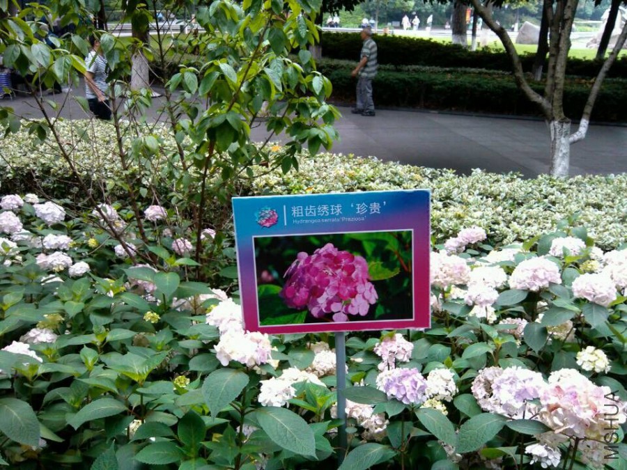 QQͼƬ20150609153332.jpg