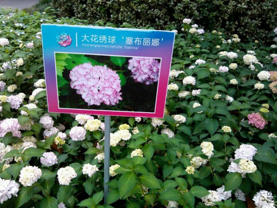 QQͼƬ20150609153336.jpg