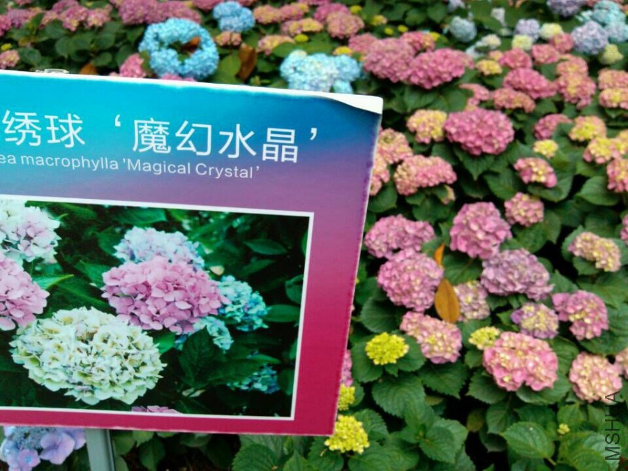 QQͼƬ20150609153342.jpg