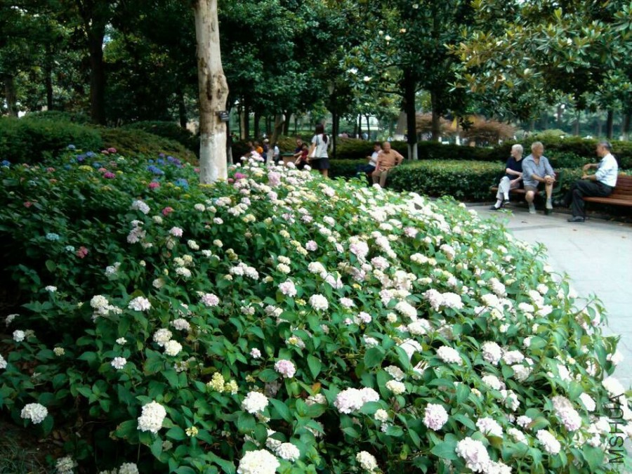 QQͼƬ20150609153354.jpg
