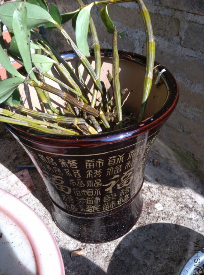 ��˵�������ʯ��̫�˷��ˣ��Ҷ�û����~~