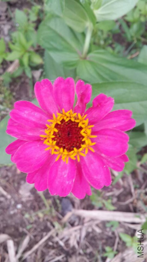 ���ղ� (3).jpg