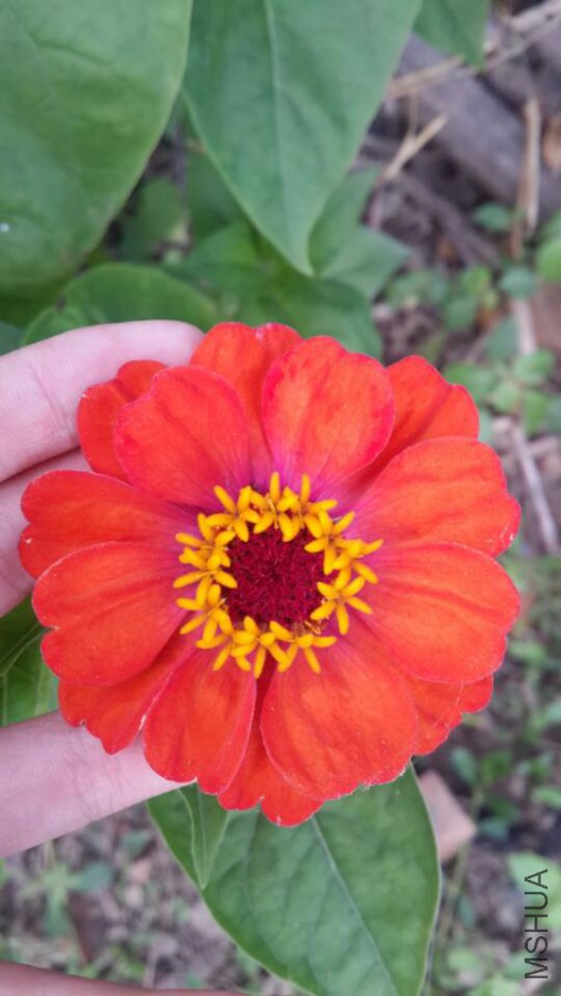 ���ղ� (1).jpg