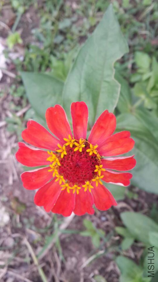 ���ղ� (2).jpg