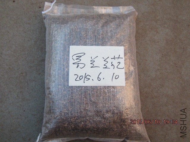 IMG_0104.JPG