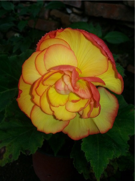 20150610_100452.jpg