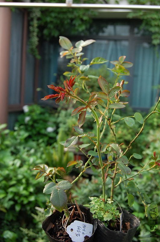 DSC_00120012.JPG